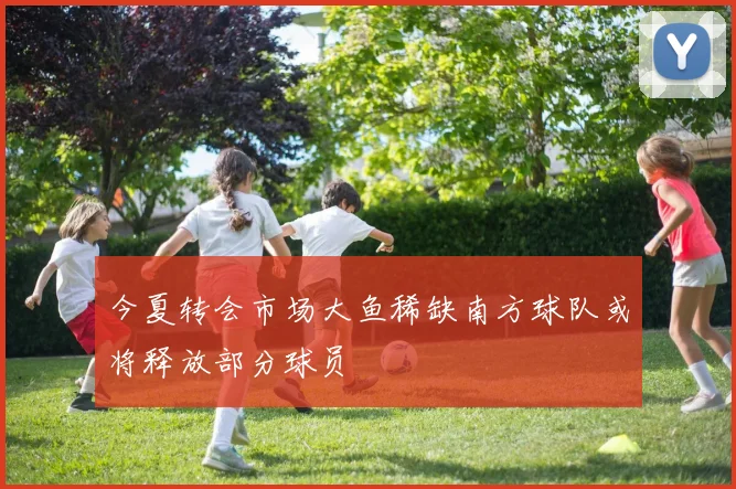 今夏转会市场大鱼稀缺南方球队或将释放部分球员
