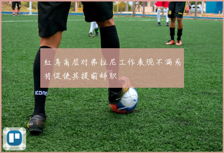 红鸟高层对弗拉尼工作表现不满或将促使其提前辞职