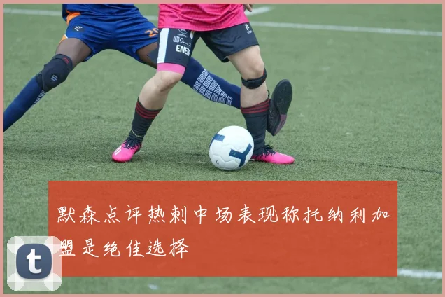 默森点评热刺中场表现称托纳利加盟是绝佳选择